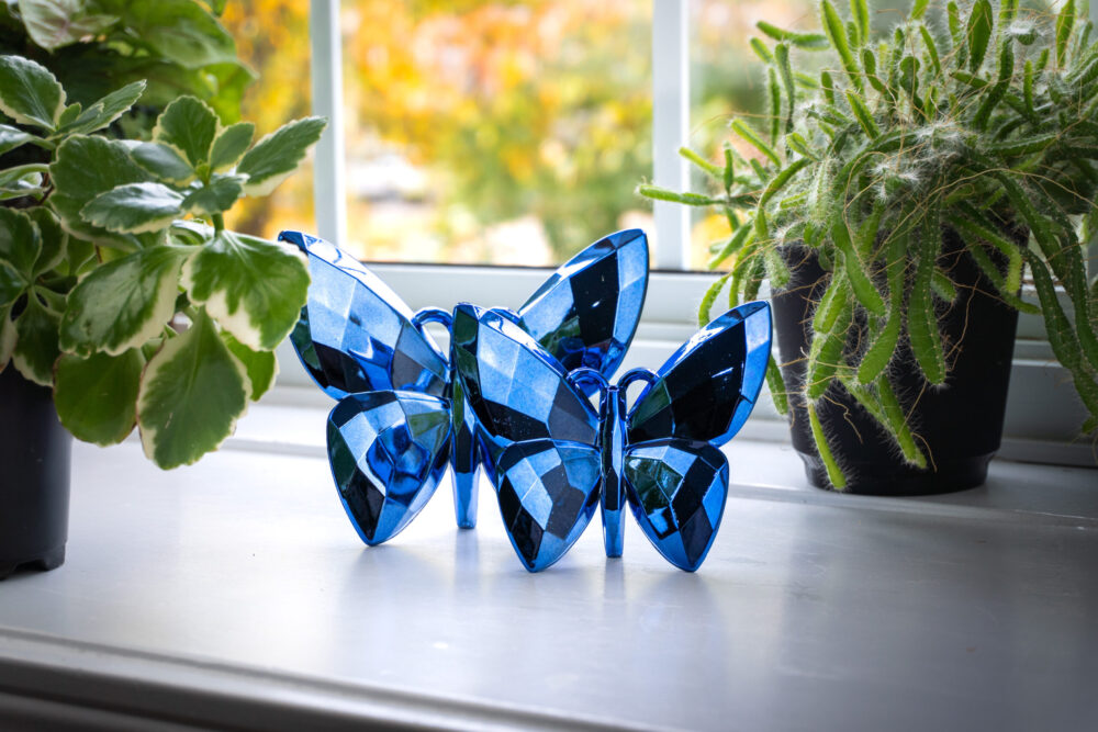 Butterfly Blue